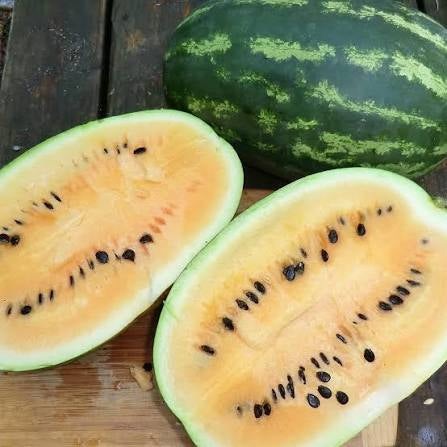 Whole Seeded Watermelon